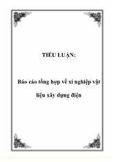 Tiểu luận Tổng hợp về xí nghiệp vật liệu xây dựng điện