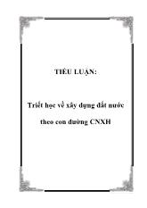 Tiểu luận Triết học về xây dựng đất nước theo con đường chủ nghĩa xã hội