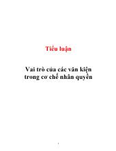 Tiểu luận Vai trò của các văn kiện trong cơ chế nhân quyền