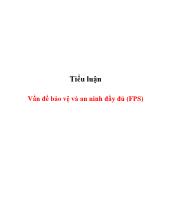 Tiểu luận Vấn đề bảo vệ và an ninh đầy đủ (FPS)