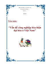 Tiểu luận Vấn đề công nghiệp hóa-Hiện đại hóa ở Việt Nam