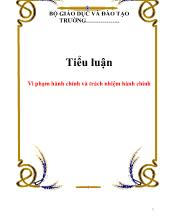 Tiểu luận Vi phạm hành chính và trách nhiệm hành chính