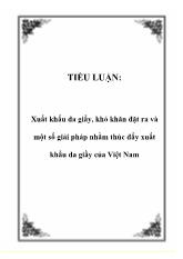 Tiểu luận Xuất khẩu da giầy, khó khăn đặt ra và một số giải pháp nhằm thúc đẩy xuất khẩu da giầy của Việt Nam