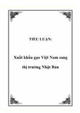 Tiểu luận Xuất khẩu gạo Việt Nam sang thị trường Nhật Bản