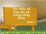 Tìm hiểu về hợp tác xã trong nông thôn