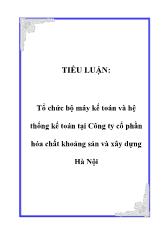 Tổ chức bộ máy kế toán và hệ thống kế toán tại Công ty cổ phần hóa chất khoáng sản và xây dựng Hà Nội