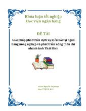 Đề tài Giải pháp phát triển dịch vụ kiều hối tại ngân hàng nông nghiệp và phát triển nông thôn chi nhánh tỉnh Thái Bình