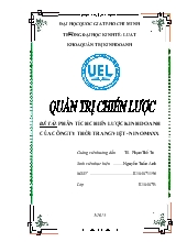 Đề tài Phân tích chiến lược kinh doanh của công ty thời trang Việt - Ninomaxx