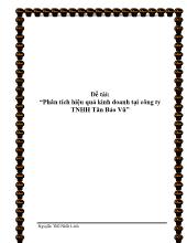 Đề tài Phân tích hiệu quả kinh doanh tại công ty TNHH Tân Bảo Vũ