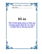 Đồ án Một số biện pháp nâng cao hiệu quả sử dụng nguồn nhân lực tại công ty cổ phần đầu tư thương mại DG