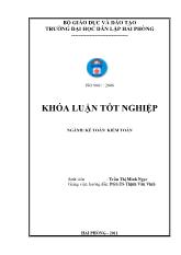 Hoàn thiện công tác kế toán doanh thu, chi phí và xác định kết quả kinh doanh tại công ty cổ phần vận tải và dịch vụ điện lực