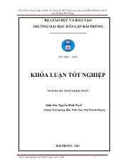 Hoàn thiện công tác LPAJ và phân tích bảng cân đối kế toán tại công ty cổ phần và phát triển hạ tầng Hải Phòng