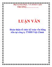 Hoàn thiện tổ chức kế toán vốn bằng tiền tại công ty TNHH Việt Chính