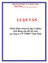 Luận văn Hoàn thiện công tác lập và phân tích Bảng cân đối kế toán tại công ty cổ phần thương  mại dịch vụ Vĩnh Phát