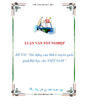 Luận văn Tác động của M&A xuyên quốc gia & Bài học cho Việt Nam