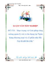 Luận văn Thực trạng và Giải pháp tăng cường quản lý rủi ro tín dụng tại Ngân hàng thương mại và cổ phần nhà Hà Nội HABUBANK