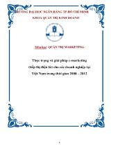 Thực trạng và giải pháp E- Marketing (tiếp thị điện tử) cho các doanh nghiệp tại Việt Nam trong thời gian 2008 – 2012