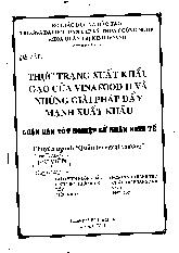 Thực trạng xuất khẩu gạo của VinaFood II và những giải pháp đẩy mạnh xuất khẩu