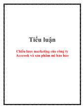 Tiểu luận Chiến lược marketing của công ty Acecook và sản phẩm mì Hảo Hảo