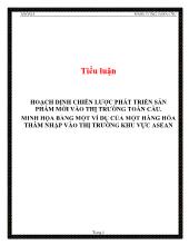Tiểu luận Hoạch định chiến lược phát triển sản phẩm mới vào thị trường toàn cầu. Minh họa bằng một ví dụ của một hàng hóa thâm nhập vào thị trường khu vực Asean