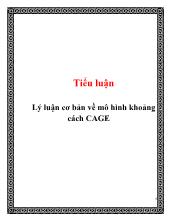 Tiểu luận Lý luận cơ bản về mô hình khoảng cách CAGE