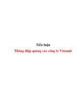 Tiểu luận Thông điệp quảng cáo công ty Vinamit