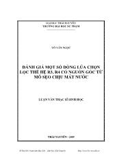 Đánh giá một số dòng lúa chọn lọc thế hệ R3, R4 có nguồn gốc từ mô sẹo chịu mất nước
