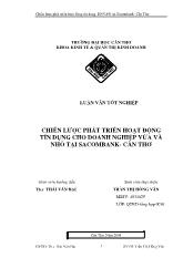 Luận văn Chiến lược phát triển hoạt động tín dụng cho doanh nghiệp vừa và nhỏ tại Sacombank- Cần Thơ