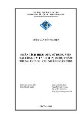 Luận văn Phân tích hiệu quả sử dụng vốn tại công ty TNHH một thành viên dược phẩm trung ương II chi nhánh Cần Thơ
