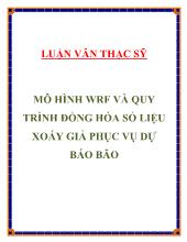 Mô hình WRF và quy trình đồng hóa số liệu xoáy giả phục vụ dự báo bão