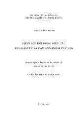 Phân lớp đối đồng điều các ANN- Hàm tử và các ANN- phạm trù biện