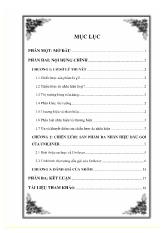 Thực trạng áp dụng chiến lược maketing sản phẩm đa nhãn hiệu dầu gội của tập đoàn Unilever trên thị trường Việt Nam