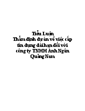 Tiểu luận Thẩm định dự án về việc cấp tín dụng dài hạn đối với công ty TNHH Ánh Ngân Quảng Nam