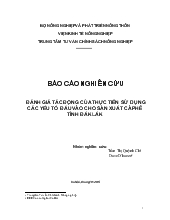 Đánh giá tác động của thực tiễn sử dụng các yếu tố đầu vào cho sản xuất cà phê tỉnh Đắk Lắk