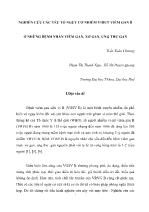 Nghiên cứu các yếu tố nguy cơ nhiễm virut viêm gan B ở những bệnh nhân viêm gan, xơ gan, ung thư gan