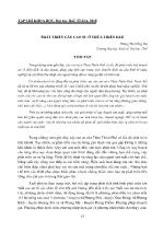 Phát triển cây cao su ở Thừa Thiên Huế