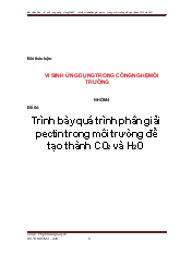 Đề tài Trình bày quá trình phân giải pectin trong môi trường để tạo thành CO2 và H2O