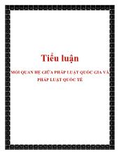 Tiểu luận Mối quan hệ giữa pháp luật quốc gia và pháp luật quốc tế