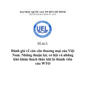 Đánh giá về cán cân thương mại của Việt Nam. Những thuận lợi, cơ hội và những khó khăn thách thức khi là thành viên của WTO