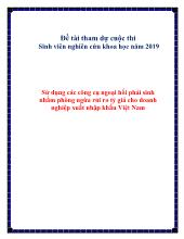 Sử dụng các công cụ ngoại hối phái sinh nhằm phòng ngừa rủi ro tỷ giá cho doanh nghiệp xuất nhập khẩu Việt Nam