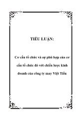 Tiểu luận Cơ cấu tổ chức và sự phù hợp của cơ cấu tổ chức đó với chiến lược kinh doanh của công ty may Việt Tiến