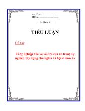 Tiểu luận Công nghiệp hóa và vai trò của nó trong sự nghiệp xây dựng chủ nghĩa xã hội ở nước ta