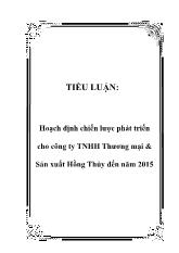 Tiểu luận Hoạch định chiến lược phát triển cho công ty TNHH Thương mại & Sản xuất Hồng Thủy đến năm 2015