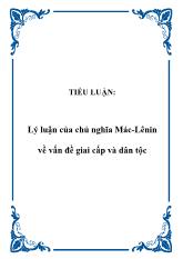 Tiểu luận Lý luận của chủ nghĩa Mác-Lênin về vấn đề giai cấp và dân tộc