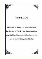 Tiểu luận Phân tích rõ thực trạng phát triển nhân lực ở Công ty TNHH Nam Dương từ đó đề ra giải pháp nhằm hoàn thiện công tác đào tạo và phát triển nguồn nhân lực