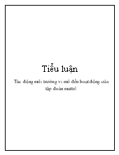 Tiểu luận Tác động môi trường vi mô đến hoạt động của tập đoàn mattel