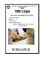 Tiểu luận Thẩm định năng lực tài chính của khách hàng