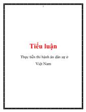 Tiểu luận Thực tiễn thi hành án dân sự ở Việt Nam