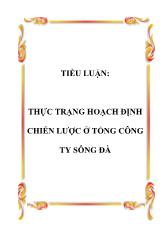 Tiểu luận Thực trạng hoạch định chiến lược ở tổng công ty Sông Đà