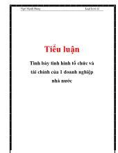 Tiểu luận Tình bày tình hình tổ chức và tài chính của 1 doanh nghiệp nhà nước